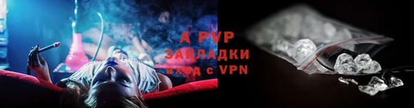 амф Алексин