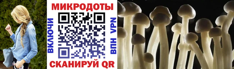 Псилоцибиновые грибы мухоморы  даркнет сайт  Калязин 
